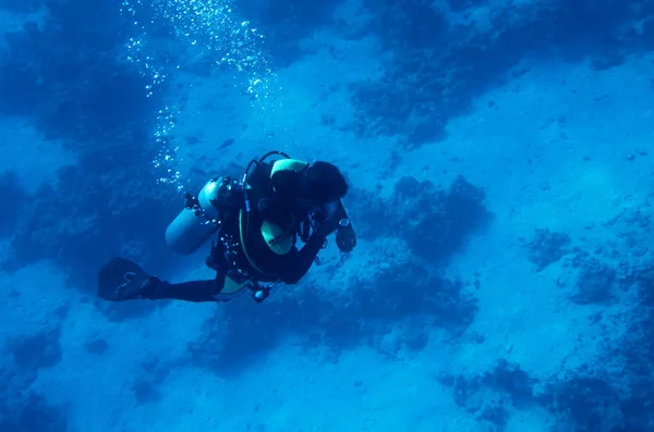 Один ныряльщик под водой — стоковое фото