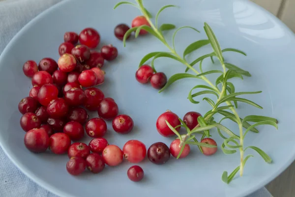 Natural organic cranberry berries in bright red color on blue plate. — Stock Photo, Image