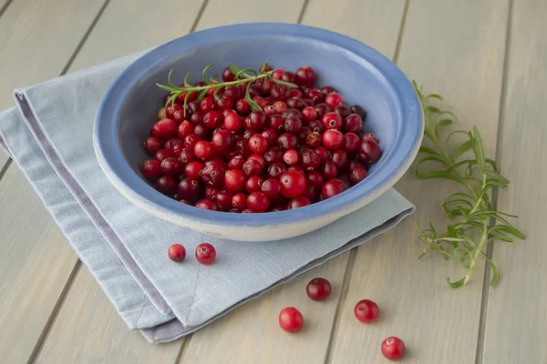 Bol de canneberges fraîches de la forêt rouge, concept d'aliments biologiques sains. Image de couleurs vives dans des baies rouges sur bol bleu et fond — Photo