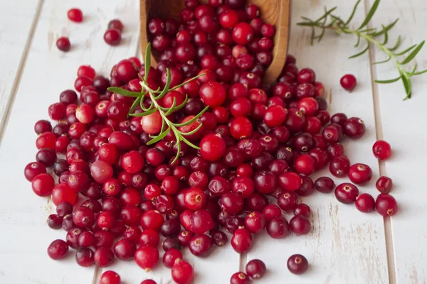 Frutti di bosco selvatico, mirtilli rossi, mirtilli rossi in una ciotola rustica su uno sfondo di legno bianco squallido — Foto Stock