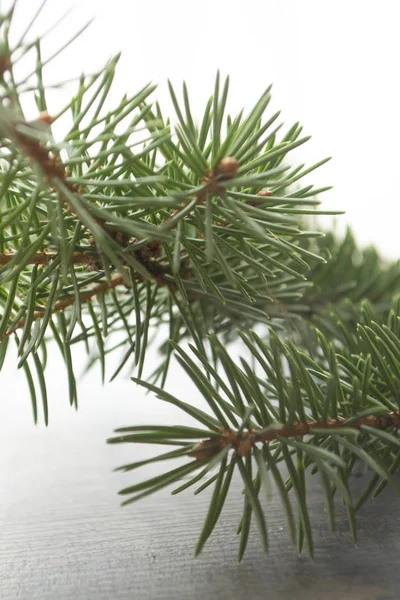 Feche o ramo verde do pinheiro no meio, bokeh cartão de fundo feriado e borrão, foco suave . — Fotografia de Stock