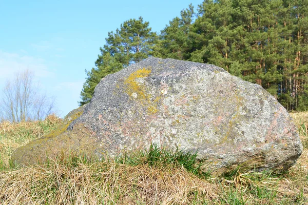 Piedra grande natural cubierta de musgo verde en bosque salvaje en Bielorrusia, piedra glaciar — Foto de Stock