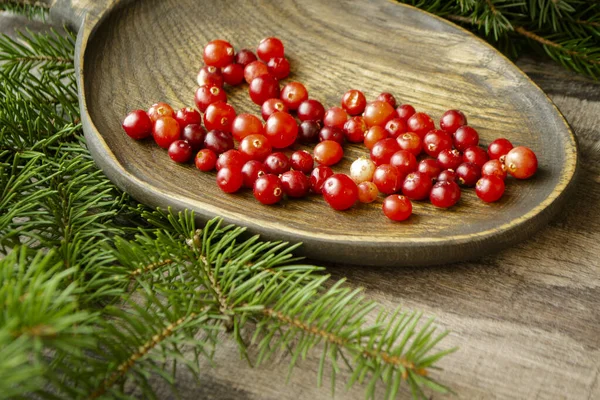 Rustic wooden plate of cowberries or cranberry with green spruce branch, bright image — Stock Photo, Image