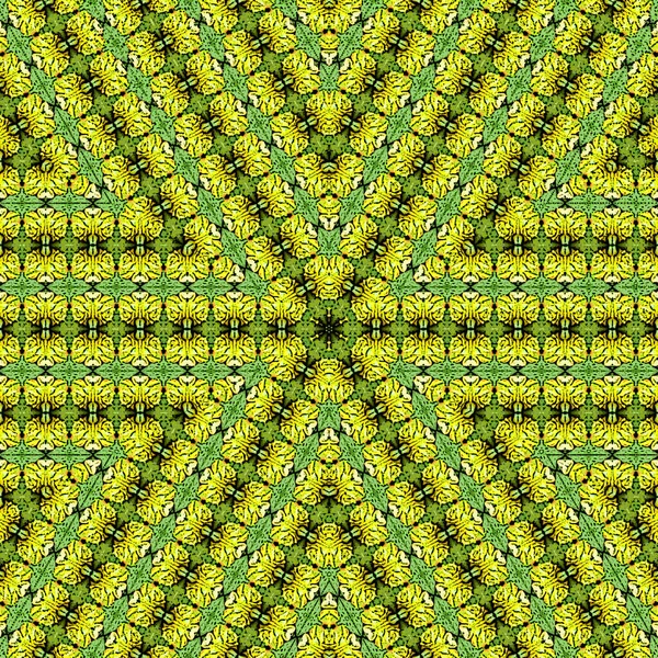 Forma de néon verde abstrato, fractal ondulado futurista do signo estrela e círculo. Ilustração geométrica legal em cores verde e limão — Fotografia de Stock