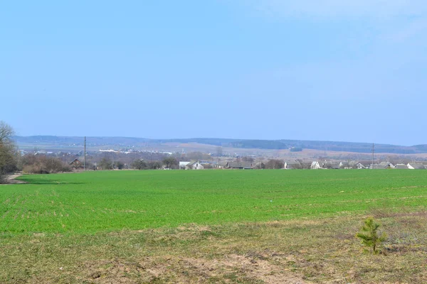 Perfekter Frühlings- oder Sommertag im russischen Dorf, grüne Wiese mit blauem Himmel, ländliche Landschaft. — Stockfoto