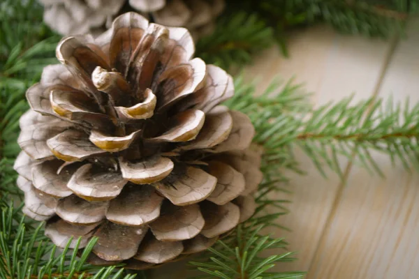 Decoration with big pine cone and fir branches close up — 스톡 사진