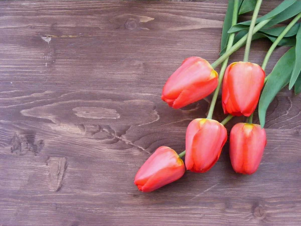 Rote Tulpen Auf Holztisch — Stockfoto