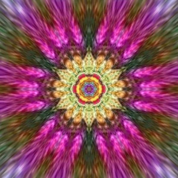 Dark Triangle Bright Mandala Circular Colorful Floral Patchwork — 스톡 사진