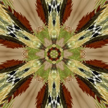 medieval star in gold, green