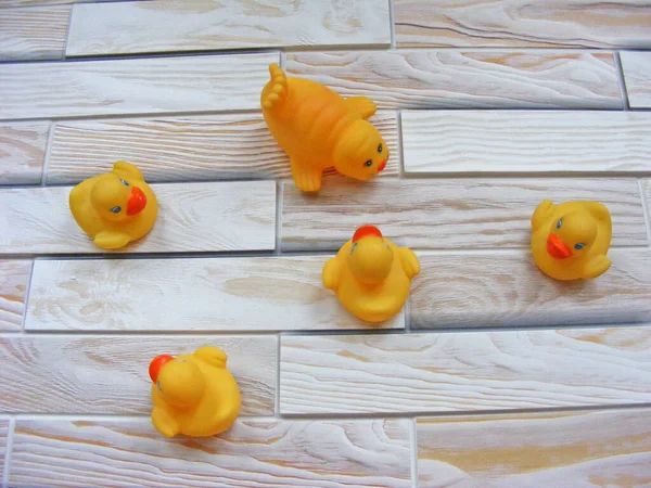 Gummi Enten Für Baby — Stockfoto