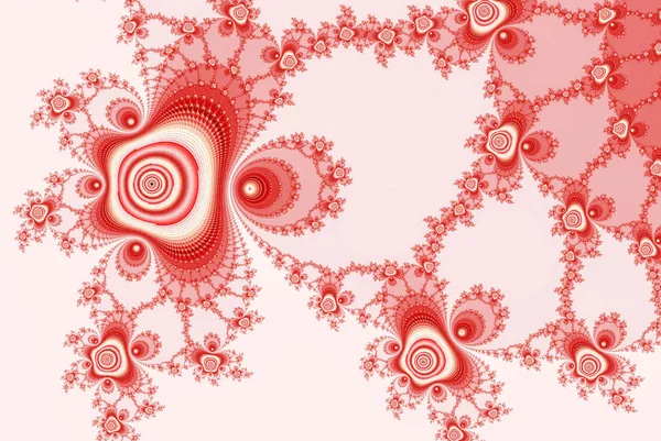 fractal roses, ornament red white