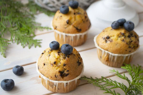 Muffins aux bleuets ou cupcakes sur texture bois, gros plan — Photo