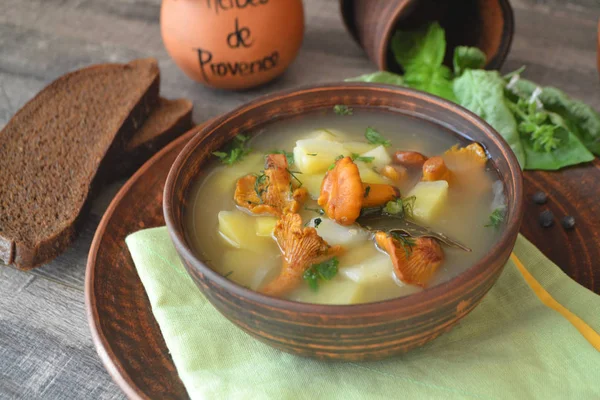 Vegetarische Mahlzeit: Suppe mit Pfifferlingen aus Waldpilzen — Stockfoto