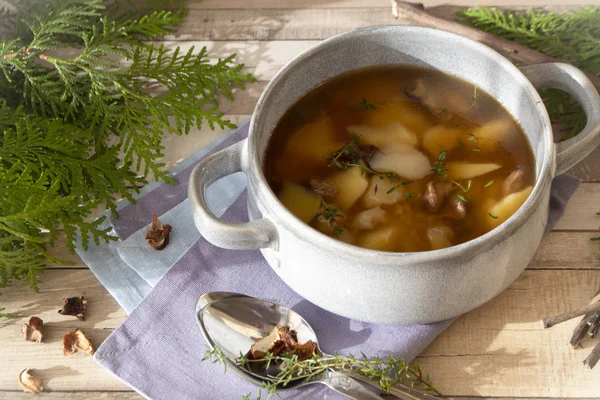 Wild mushroom soup and ingredients, with dried ceps — Stock Image Wild Mushroom Soup Ingredients Dried Ceps Stock Image