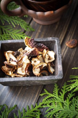 Kurumuş mantarlar yabani sepet ve tahta kahverengi arka planda boletus, dikey görüntü.