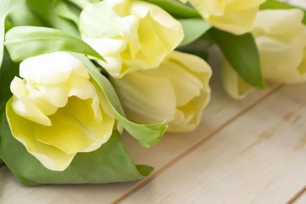 Yellow tulips on white wooden background. Image of spring season — Stockfoto