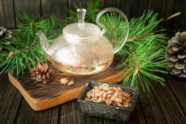medicinal decoction with pine buds in glass tea pot