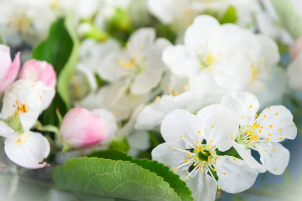 Blumen Der Kirschblüten Frühling Verschwommener Hintergrund — Stockfoto