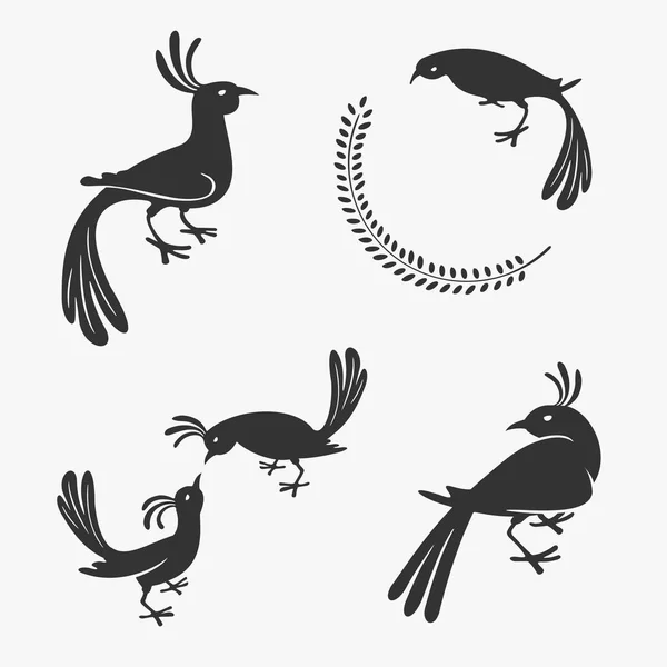 Símbolo vectorial de aves exóticas — Vector de stock