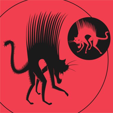 İki saldırgan siyah kedi