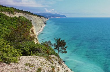 Karadeniz kıyı şeridi yüksek görünümü