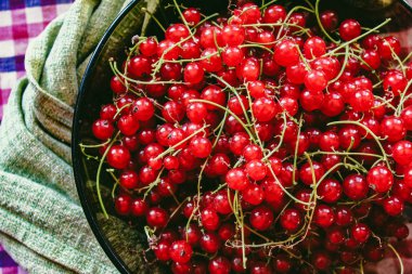 Bir tabak taze kırmızı kuş üzümü