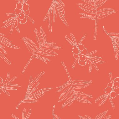 Vektör soyut, kusursuz desen. Deniz dikenleri teması