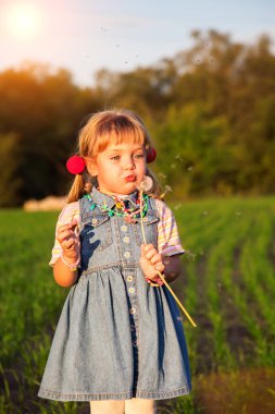 Küçük kız çayırda karahindiba üflüyor.