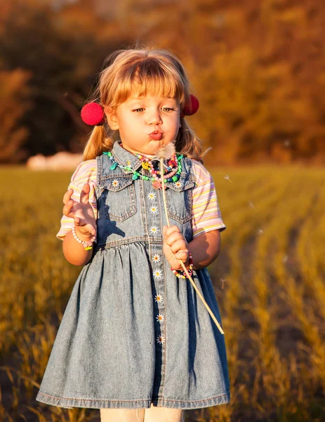 Маленькая девочка, дующая одуванчиками на лугу — стоковое фото