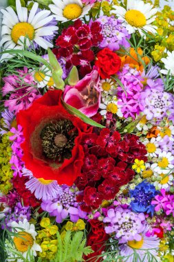 Güzel kır çiçekleri buketi arka plan. Peygamber Çiçeği, papatya, 