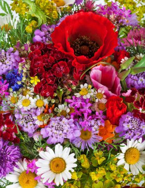 Güzel kır çiçekleri buketi arka plan. Peygamber Çiçeği, papatya, 