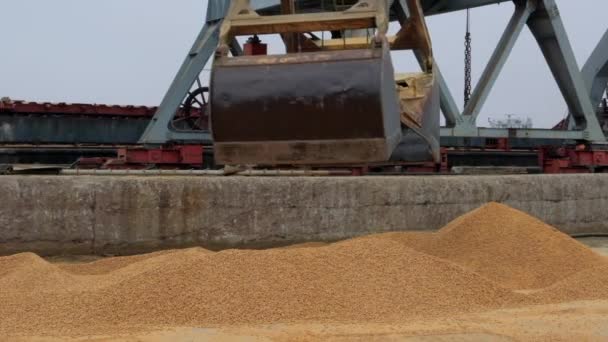 起重机在港口装卸玉米饲料 室外装卸 散装食品货物 甘特莱起重机 慢动作 — 图库视频影像