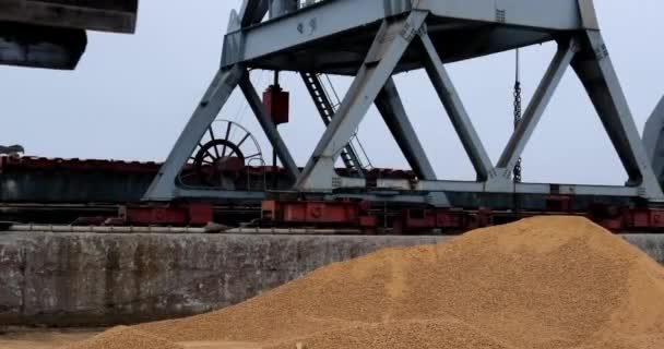 Drtící Jeřáb Vykládá Nakládá Kukuřičné Krmivo Náklaďáku Přístavu Venku Hromadný — Stock video