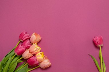 Renkli bahar laleleri çiçekli tebrik kartı. Tatil buketi. Anneler günü, doğum günü ya da sevgililer günü kutlaması kavramı. Üst Görünüm, Düz Yat