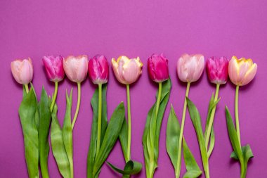 Renkli bahar laleleri çiçekli tebrik kartı. Tatil buketi. Anneler günü, doğum günü ya da sevgililer günü kutlaması kavramı. Üst Görünüm, Düz Yat