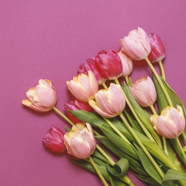 Renkli bahar laleleri çiçekli tebrik kartı. Tatil buketi. Anneler günü, doğum günü ya da sevgililer günü kutlaması kavramı. Üst Görünüm, Düz Yat