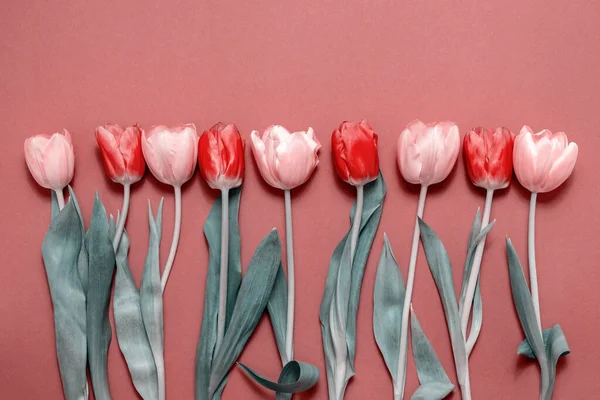 有五彩缤纷的春天郁金香花的贺卡 假日花束 母亲节 生日或情人节庆祝活动的概念 顶视图 — 图库照片