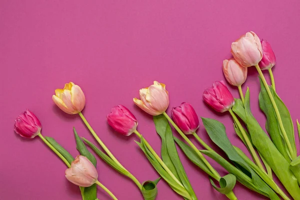 Kartka Kolorowym Wiosennym Kwiatem Tulipanów Świąteczny Bukiet Pojęcie Dzień Matki — Zdjęcie stockowe