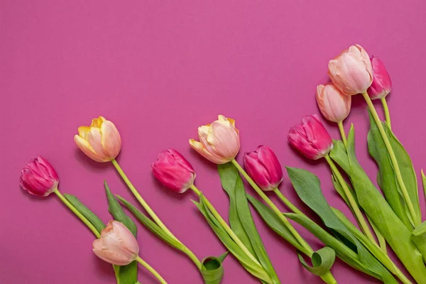 Gratulationskort Med Färgglada Våren Tulpaner Blomma Semesterbukett Begreppet Mors Dag — Stockfoto