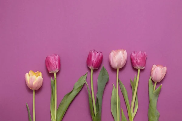 Carte Voeux Avec Fleurs Tulipes Printanières Colorées Bouquet Vacances Concept — Photo