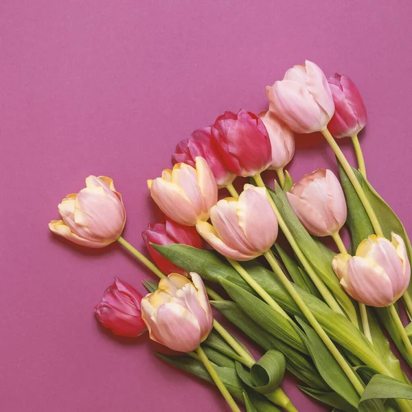 カラフルな春のチューリップの花とグリーティングカード 休日の花束 母の日 誕生日 バレンタインデーのお祝いの概念 トップ表示 フラットレイアウト — ストック写真