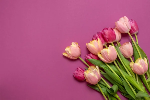 Carte Voeux Avec Fleurs Tulipes Printanières Colorées Bouquet Vacances Concept — Photo