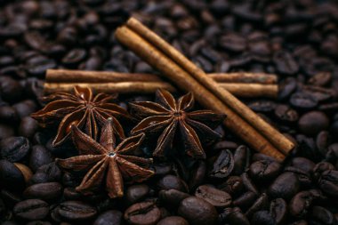 yıldız anason ve kavrulmuş kahve çekirdeği üzerine tarçın