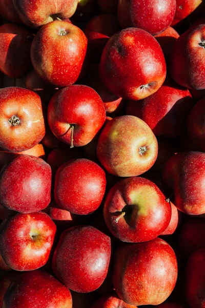 Kırmızı elma arka plan