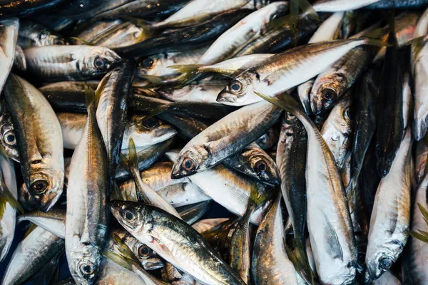 Fresh fish on market counter — Stock Photo, Image