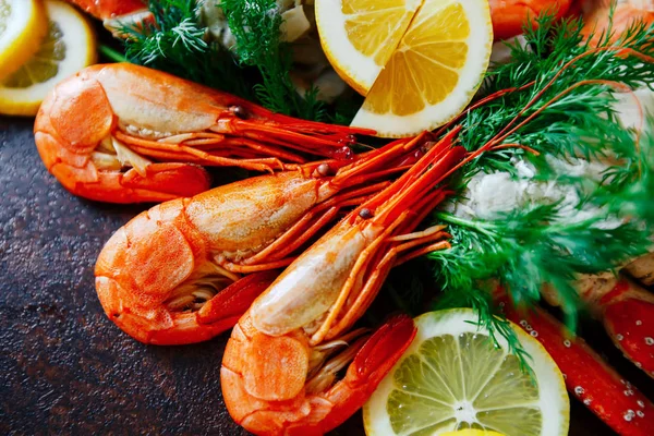Shrimps Nahaufnahme mit Zitrone und Dill — Stockfoto