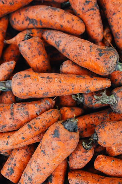 Havuç, taze Pazar içinde taze organik havuç