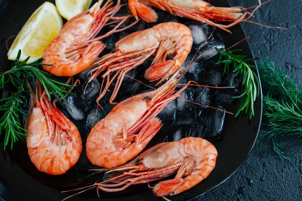 Arduvaz arka plan üzerinde buz limonlu karides karides. Üstten Görünüm kopya alanı.