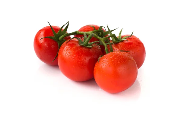 番茄被白色隔离了.收集。有快捷方式. — 图库照片