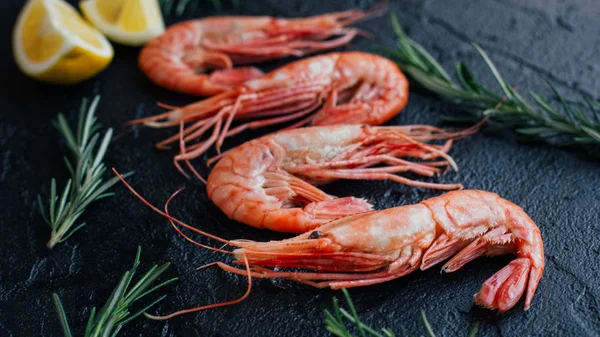 Tiger shrimps with lime, lemon, rosemary and black pepper spices on stone background. — Stock Photo, Image